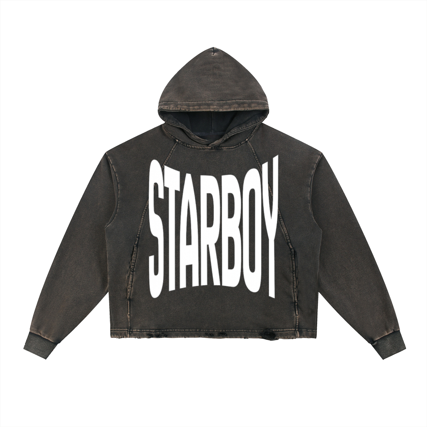 STAR BOY PROJECT hoodie