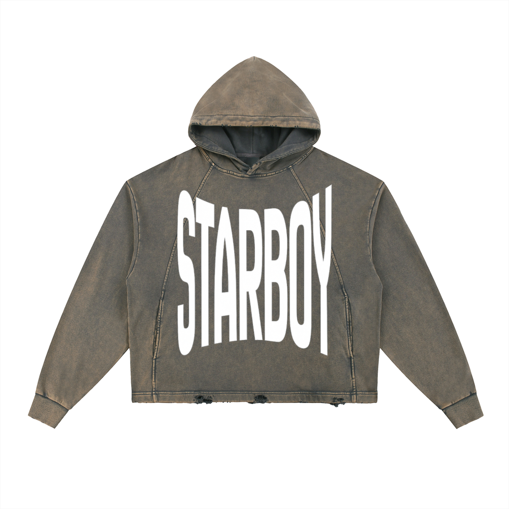 STAR BOY PROJECT hoodie