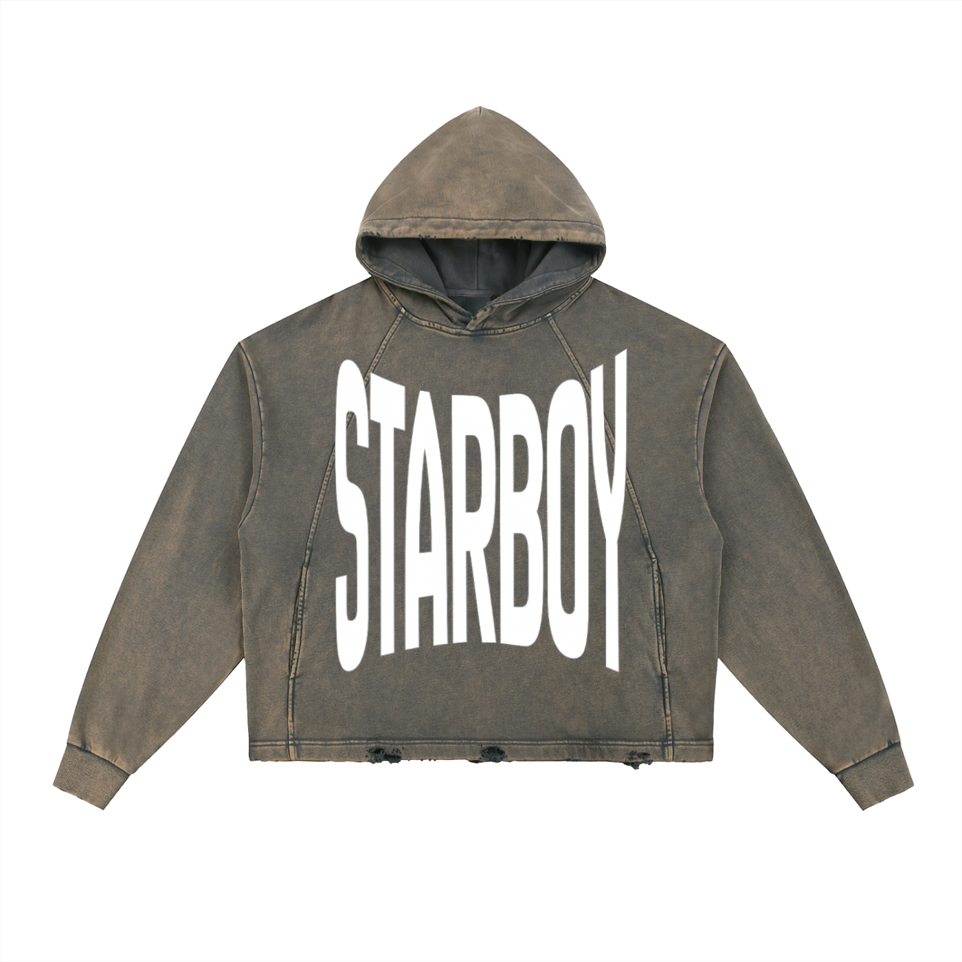 STAR BOY PROJECT hoodie