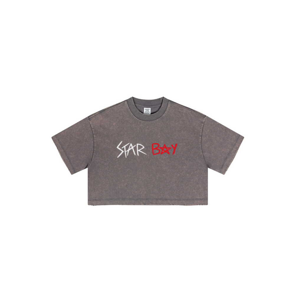 230GSM Women’s Cool-Touch Cropped High-Street Color Retro Snow-Wash T-shirt Raspberry Purple